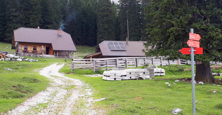Pastures Galore Beneath Košuta – Slovenia’s Longest Mountain