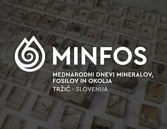 International Minerals, Fossils, and Environment Days - MINFOS