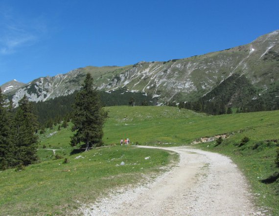 Mountain pastures below Košuta