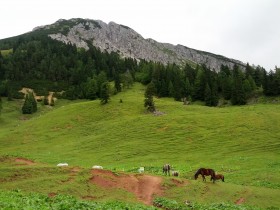 Die Berghütte auf der Alm Koroschitza