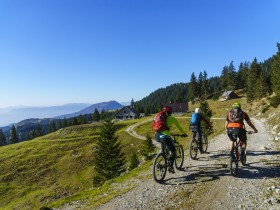 Na Tržiškem je praktično vse dostopno s kolesom (Uroš Švigelj)