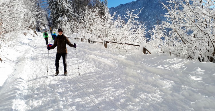 A World of Winter Sports in Tržič: Ljubelj and Zelenica