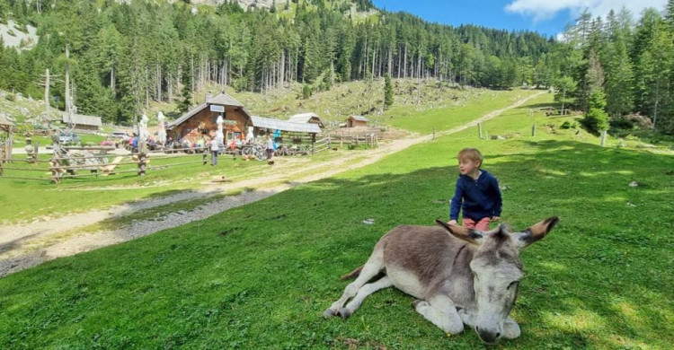 Tržič met kinderen, een paradijs in het noorden van Slovenië