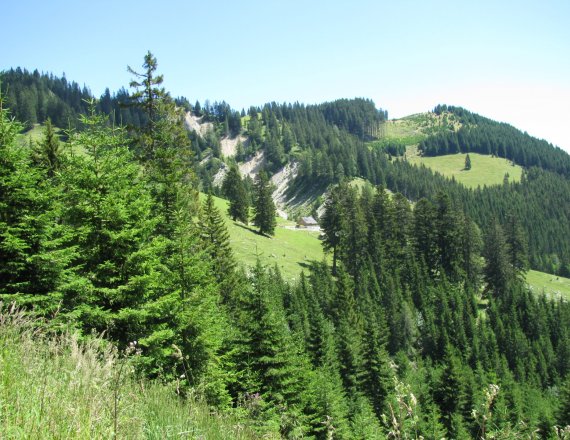 Bergboerderij Tegošče