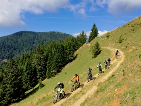 Desideri scoprire i meravigliosi angoli delle montagne di Tržič in sella ad una bici?
