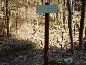 Forest educational trail