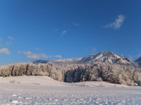 Der Berghang von Kriška gora mit dem Gipfel Tolsti vrh (Meri Simjanov)