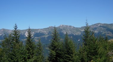 K24 - Sul Konjščica attraverso l'alpeggio Tič 