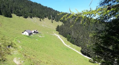 Lešanska mountain pasture