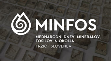 Internationale Mineralien-, Fossilien- und Umwelttage - MINFOS