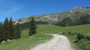 Mountain pastures below Košuta