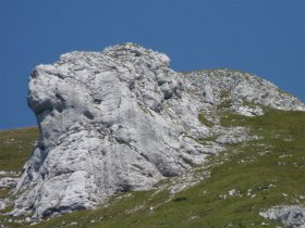 Löwenkopf oberhalb des Berges Pungrat