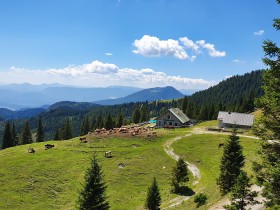 pogled na Lešanko planino  in Dobrčo (Gašper Golmajer)
