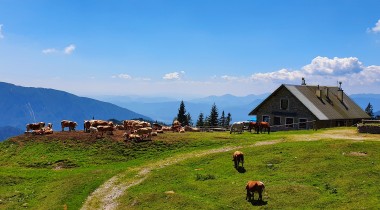 Pfadfinderhütte - Taborniški dom Šija