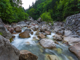 River Tržiška Bistrica 