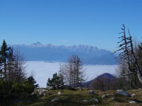 Julian Alps from Dobrča