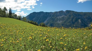 Via Alpina – itinerario viola