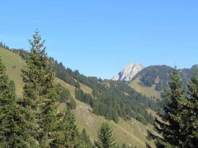 Pogled proti Tolstemu vrhu in Storžiču